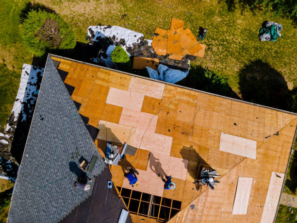 Professional Roofing Contractor in Smiths Station, AL